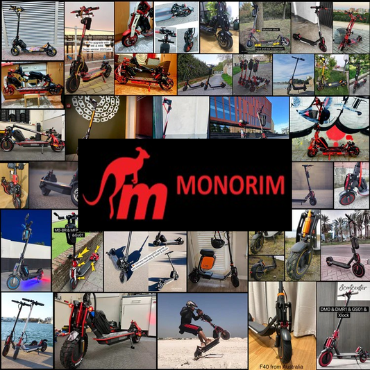 Monorim Partnership