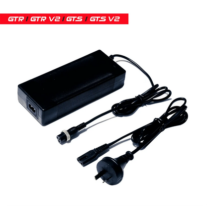 Dragon GTS / GTR Generation 1 Original 48V 2A OEM Charger