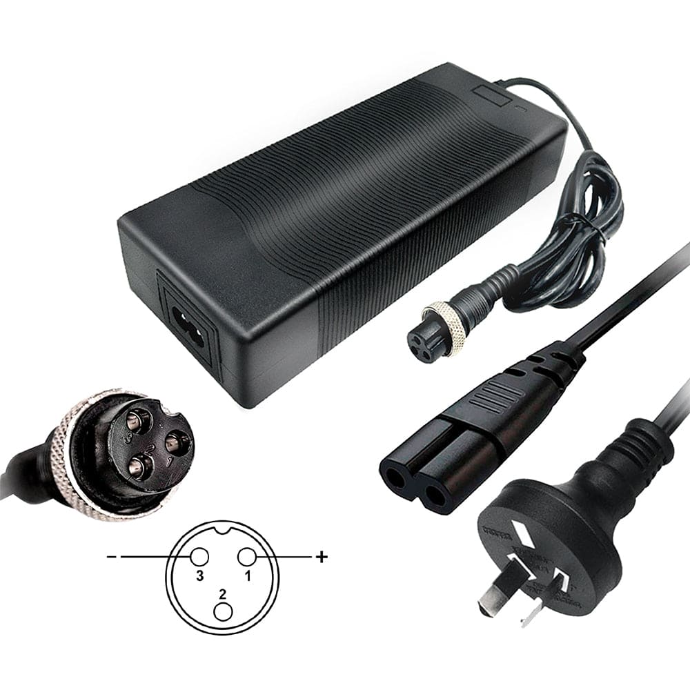 Dragon Cylcone/Cyclone Pro/Raptor/Bexly/Bolzzen OEM Charger