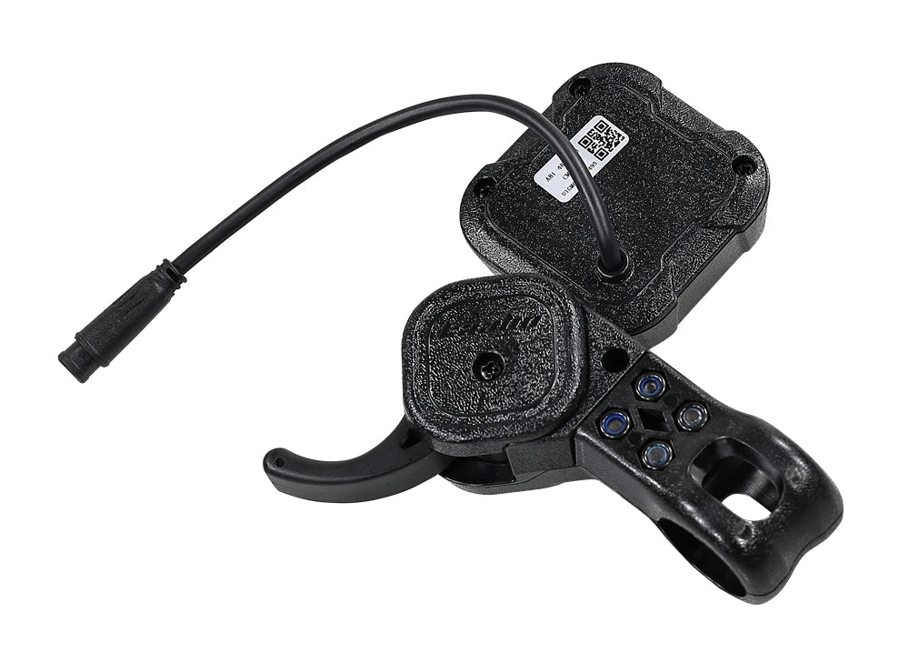 Kaabo OEM CM-06 K1 NFC LT-01 Compatible Throttle/Display